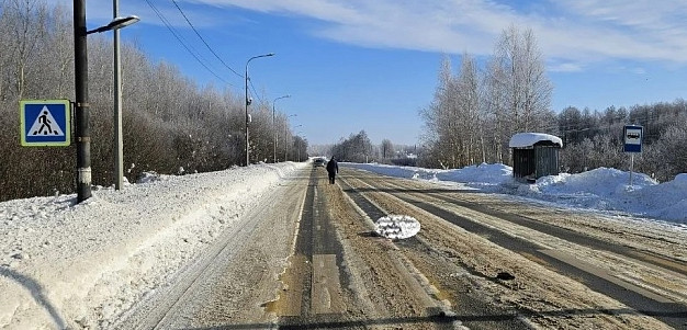 Водитель, насмерть сбивший пешехода в Палехском районе, заключен под стражу на 2 месяца